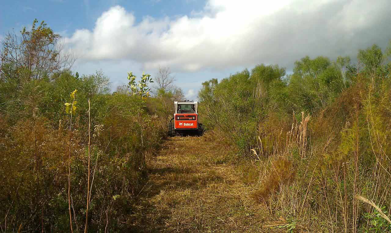 Gulf Coast Land Management