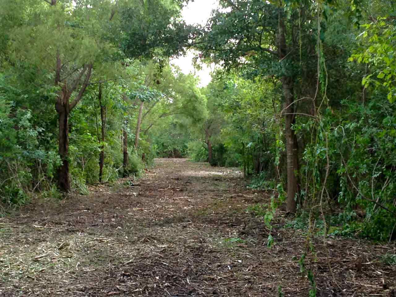 Gulf Coast Land Management